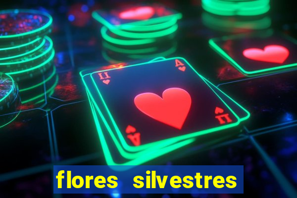 flores silvestres desbravadores desbravadores 25 flores silvestres e seus nomes